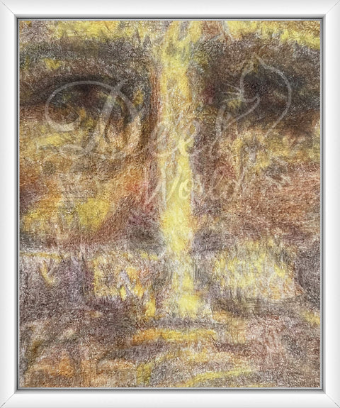 Through The Shroud